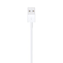 APPLE Câble Lightning vers USB (2m)